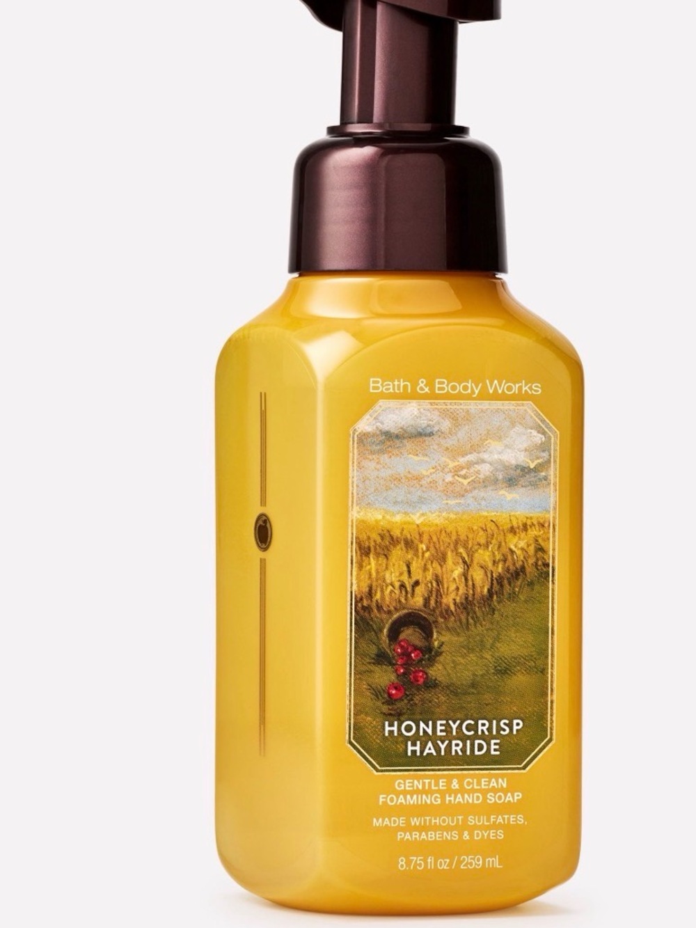 Bath & Body Works Honeycrisp Hayride Foaming Hand Soap - Yellow